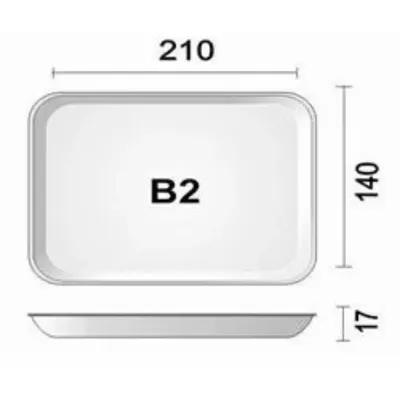 BANDEJA DE ISOPOR B2 BR COM 100