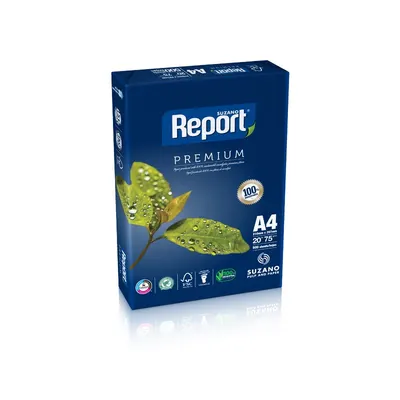 PAPEL A4 75GR 500FLS