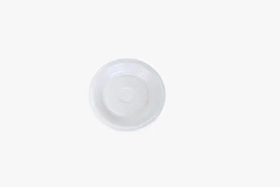 PRATO DESCARTÁVEL 15CM COM 10 BR RASO